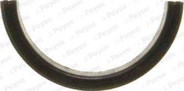 Payen LV501 - Shaft Seal, crankshaft autospares.lv