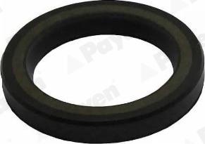 Payen NA5506 - Shaft Seal, crankshaft autospares.lv