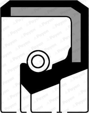 Payen NA5051 - Shaft Seal, crankshaft autospares.lv