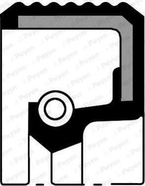 Payen NA5016 - Shaft Seal, crankshaft autospares.lv