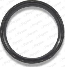 Payen NA5298 - Shaft Seal, crankshaft autospares.lv