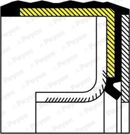 Payen NA5230 - Shaft Seal, crankshaft autospares.lv