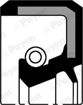 Payen NB690 - Shaft Seal, crankshaft autospares.lv