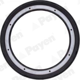 Payen NJ949 - Shaft Seal, wheel hub autospares.lv