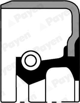 Payen NJ416 - Shaft Seal, manual transmission autospares.lv