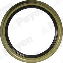 Payen NK034 - Shaft Seal, wheel hub autospares.lv