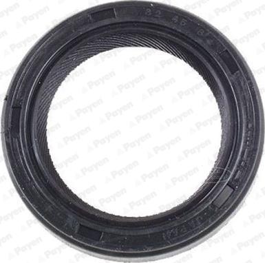 Payen NK117 - Shaft Seal, differential autospares.lv