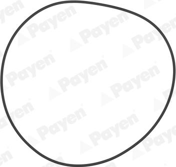 Payen PA708 - O-Ring, cylinder sleeve autospares.lv