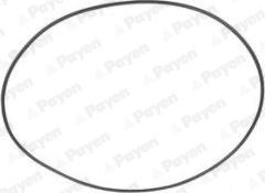 Payen PA708 - O-Ring, cylinder sleeve autospares.lv