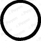 Payen PB248 - Seal Ring, cylinder head cover bolt autospares.lv
