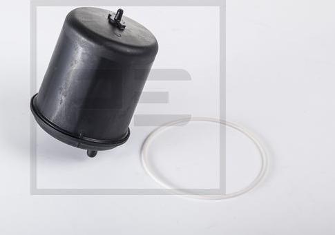 PE Automotive 089.087-00A - Oil Filter autospares.lv