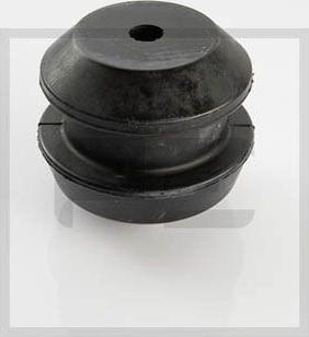 PE Automotive 030.238-00A - Holder, engine mounting autospares.lv