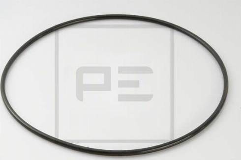 PE Automotive 120.419-00A - Seal Ring autospares.lv