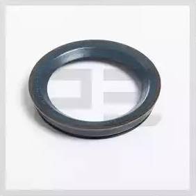 PE Automotive 121.003-03A - Seal Ring, steering knuckle autospares.lv