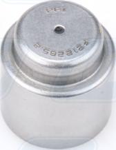 PFI F212285.2 - Pilot Bearing, clutch autospares.lv