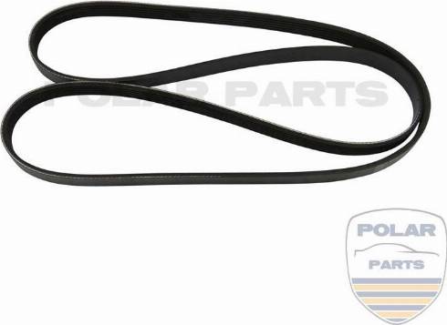 PolarParts 10000952 - V-Ribbed Belt autospares.lv