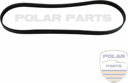 PolarParts 10003758 - V-Ribbed Belt autospares.lv