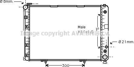 Prasco MS2177 - Radiator, engine cooling autospares.lv