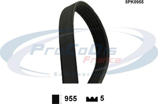 Procodis France 5PK0955 - V-Ribbed Belt autospares.lv