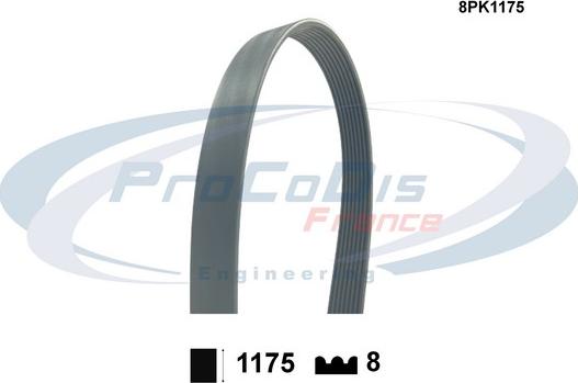 Procodis France 8PK1175 - V-Ribbed Belt autospares.lv