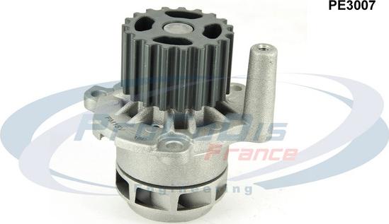 Procodis France PE3007 - Water Pump autospares.lv