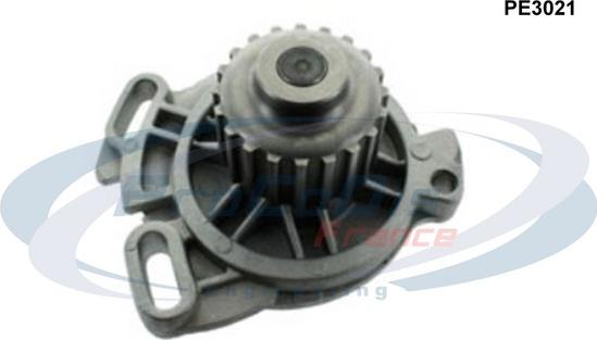 Procodis France PE3021 - Water Pump autospares.lv