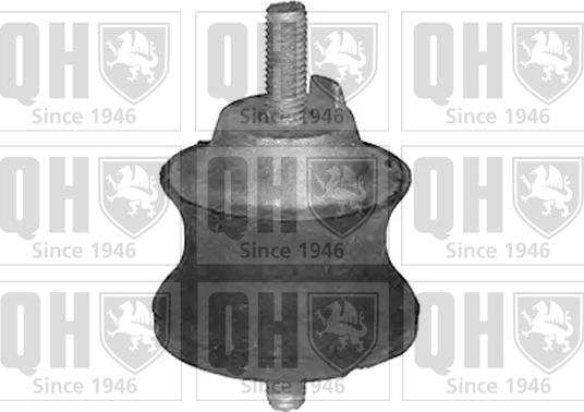 Quinton Hazell EM4053 - Holder, engine mounting autospares.lv