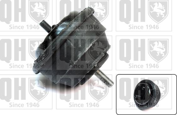 Quinton Hazell EM4078 - Holder, engine mounting autospares.lv