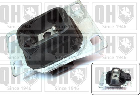 Quinton Hazell EM4196 - Holder, engine mounting autospares.lv