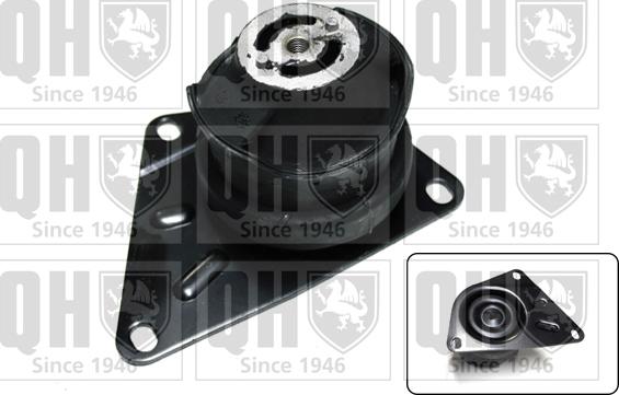 Quinton Hazell EM4198 - Holder, engine mounting autospares.lv