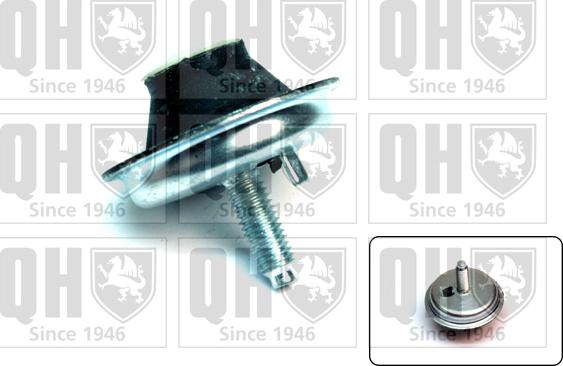 Quinton Hazell EM4144 - Holder, engine mounting autospares.lv