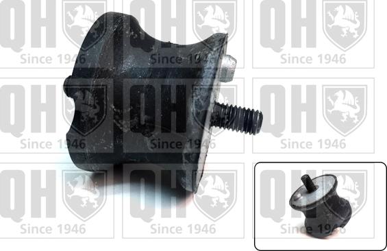 Quinton Hazell EM3101 - Holder, engine mounting autospares.lv