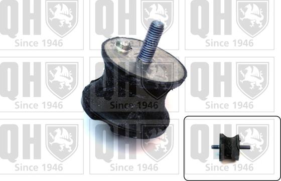 Quinton Hazell EM2576 - Holder, engine mounting autospares.lv