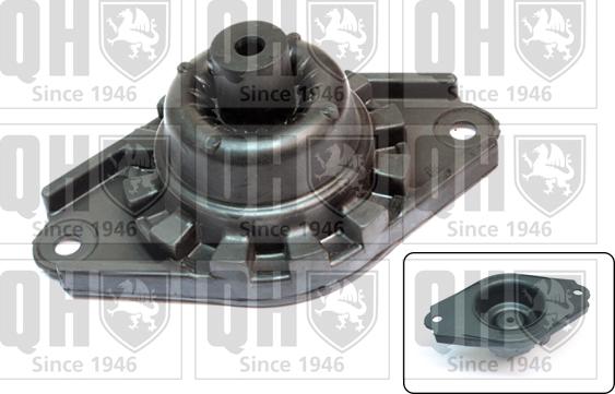 Quinton Hazell EMR4953 - Top Strut Mounting autospares.lv