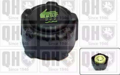 FPS FP 5008 100 - Sealing Cap, radiator autospares.lv