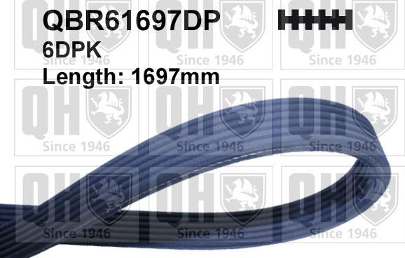 Quinton Hazell QBR61697DP - V-Ribbed Belt autospares.lv