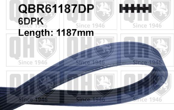 Quinton Hazell QBR61187DP - V-Ribbed Belt autospares.lv