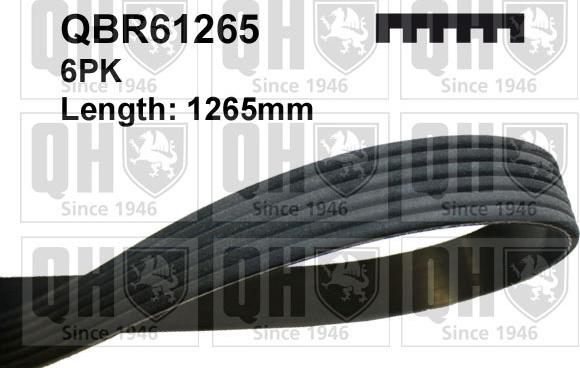 Quinton Hazell QBR61265 - V-Ribbed Belt autospares.lv