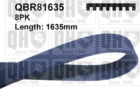 Quinton Hazell QBR81635 - V-Ribbed Belt autospares.lv