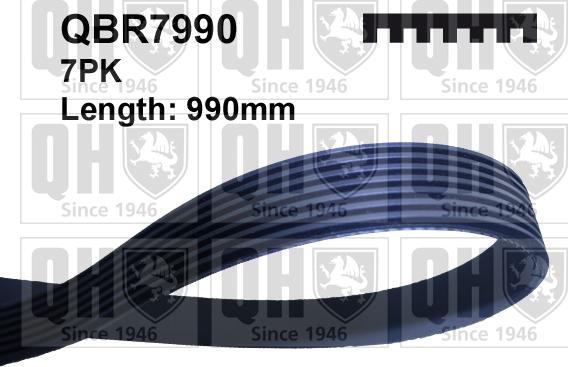 Quinton Hazell QBR7990 - V-Ribbed Belt autospares.lv