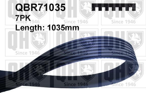 Quinton Hazell QBR71035 - V-Ribbed Belt autospares.lv