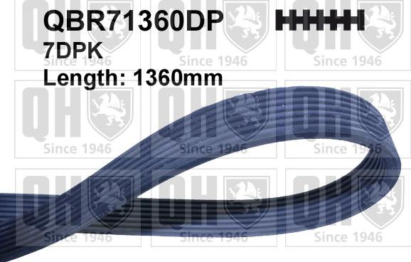 Quinton Hazell QBR71360DP - V-Ribbed Belt autospares.lv
