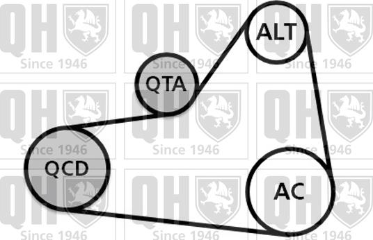 Quinton Hazell QDK99 - V-Ribbed Belt Set autospares.lv