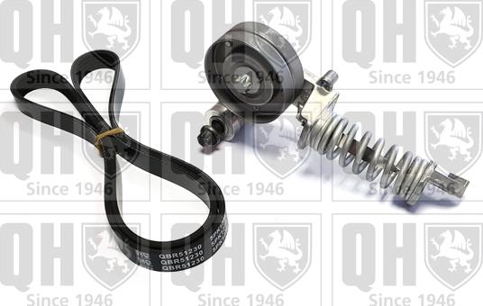 Quinton Hazell QDK118 - V-Ribbed Belt Set autospares.lv