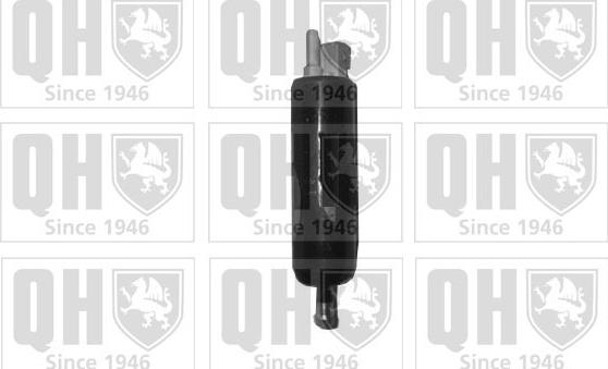 Quinton Hazell QFP616 - Fuel Pump autospares.lv