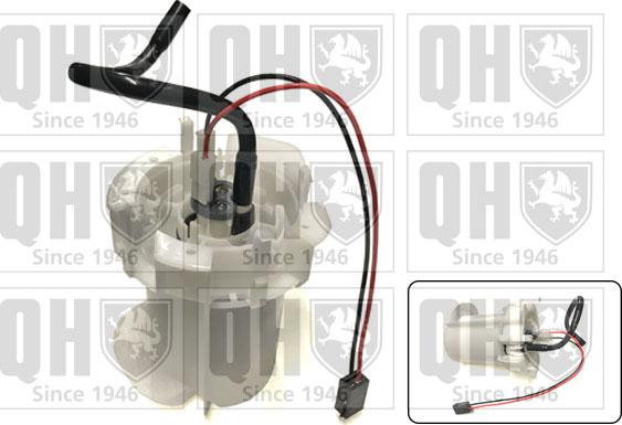 Quinton Hazell QFP819 - Swirlpot, fuel pump autospares.lv