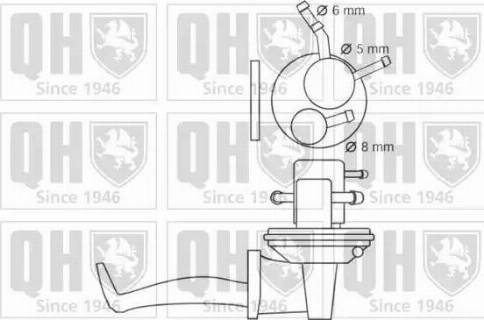 Quinton Hazell QFP202 - Fuel Pump autospares.lv