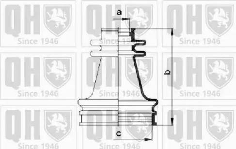 Quinton Hazell QJB256 - Bellow, drive shaft autospares.lv