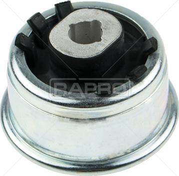 Rapro R52355 - Bush of Control / Trailing Arm autospares.lv