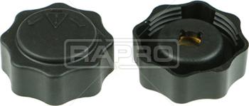 Rapro R66129 - Sealing Cap, coolant tank autospares.lv